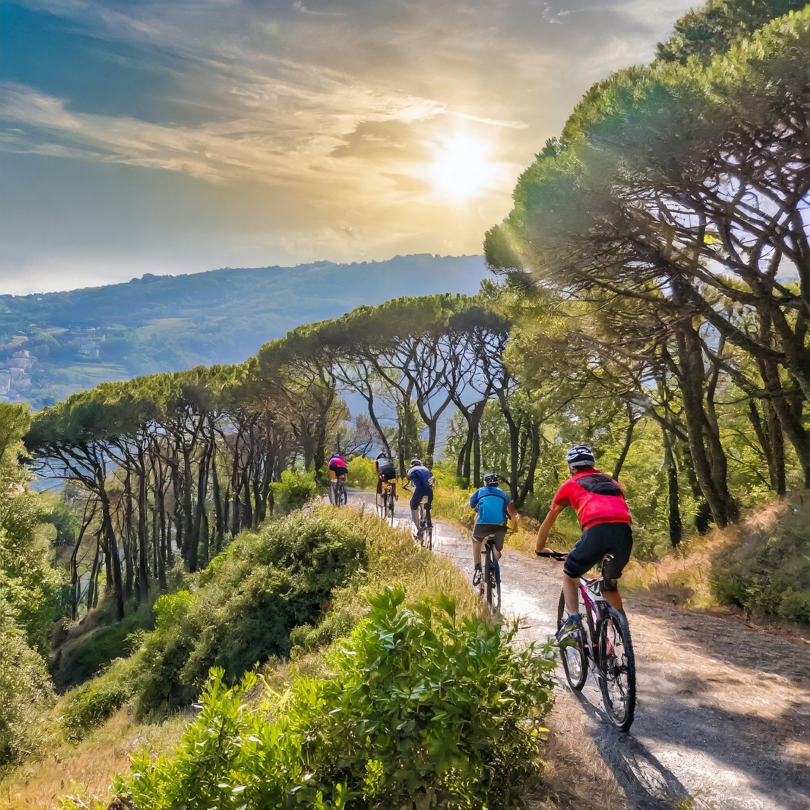 Tracciati MTB