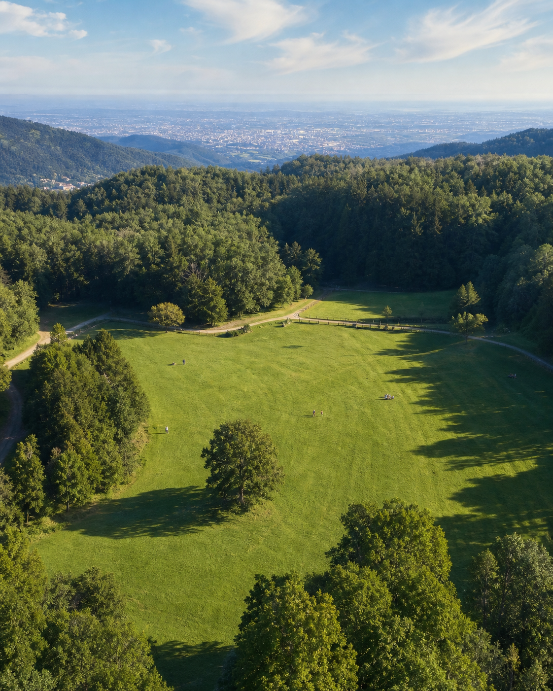 Tenuta Santallago background scenery